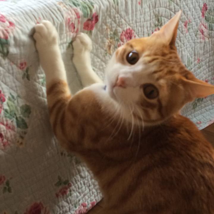 B7a4ca42 06f2 4a29 9665 5fba747c0ebc