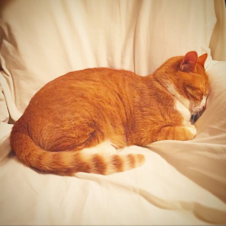 B7a5b8b9 77e1 4574 94f8 7a2c9172474a