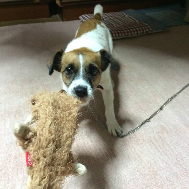 B7a66a27 b444 4084 8a5b d1537224a56e