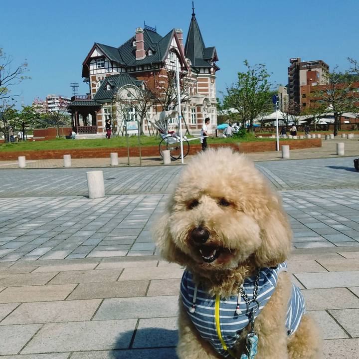 B7a69871 44ca 4b77 9bb0 d6c5a20e51b5