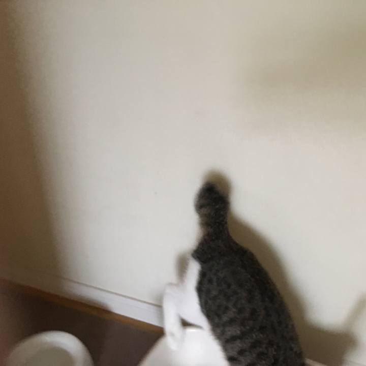 B7a6ea8b ce9f 49aa a68e f10973285dad