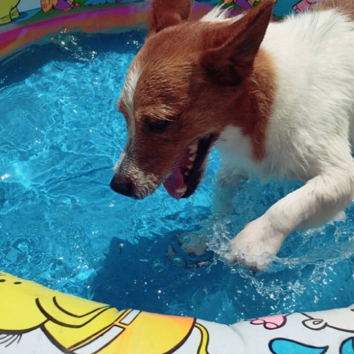 B7a6ed6d 8719 49fd bffe a4e82bc2a5aa