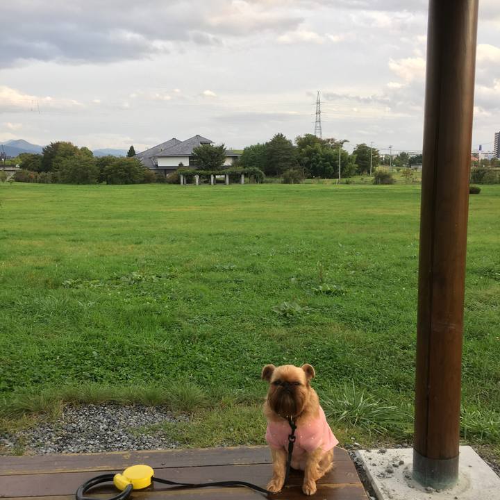 B7a7602a d2e8 4197 a2b2 d663d4f961e2