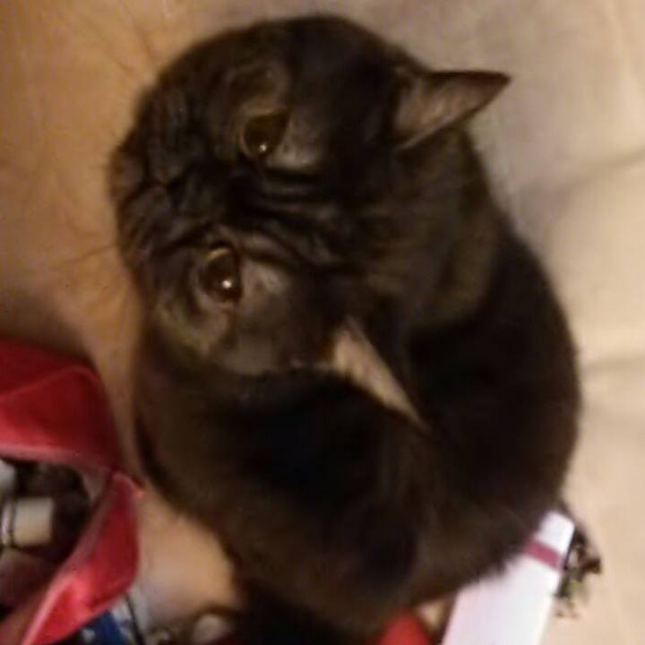 B7a76964 5d62 49e2 ad89 700de9b58395