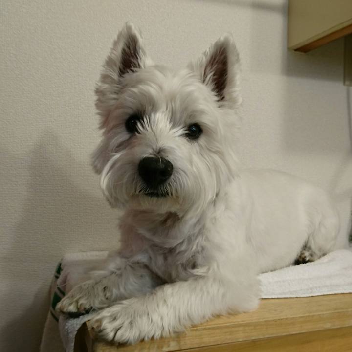 B7a77a8f 32cb 4b2a a713 10f548515a6b