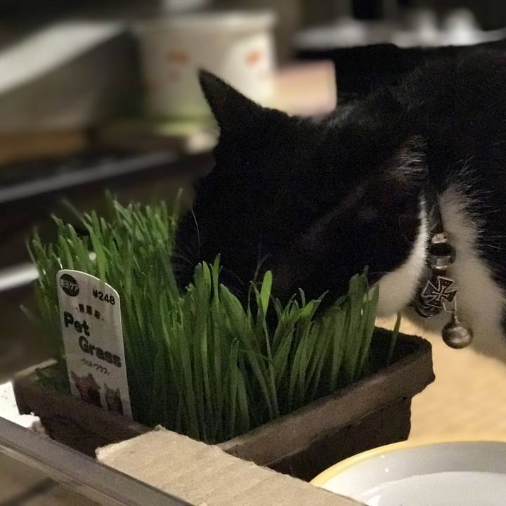 B7a7c119 f636 4835 bcf7 a1ae4ecc971c