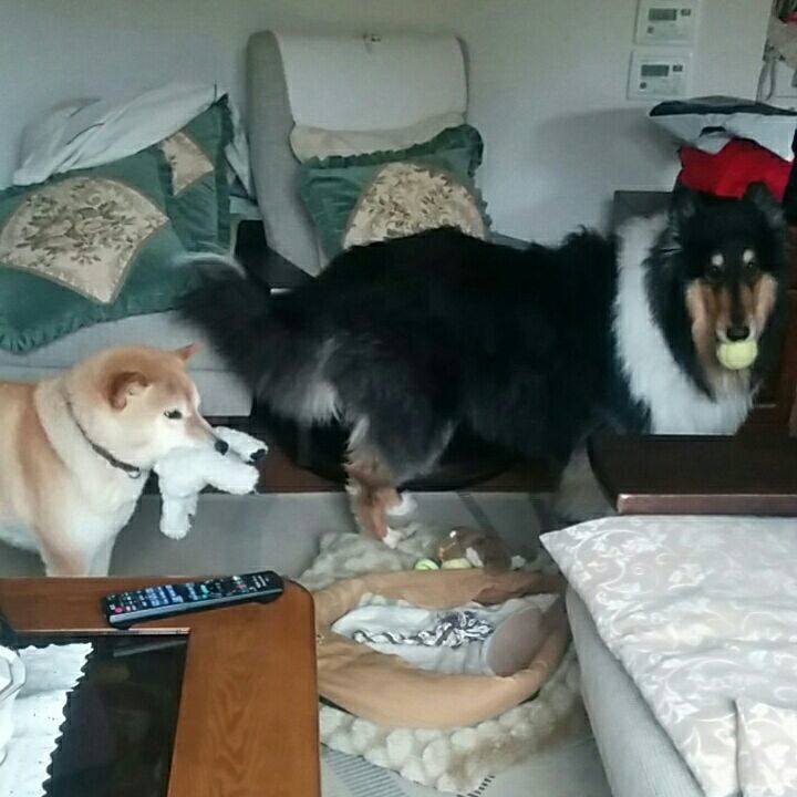 B7a95e8b 0309 49b5 93d6 b3f47dbb7429