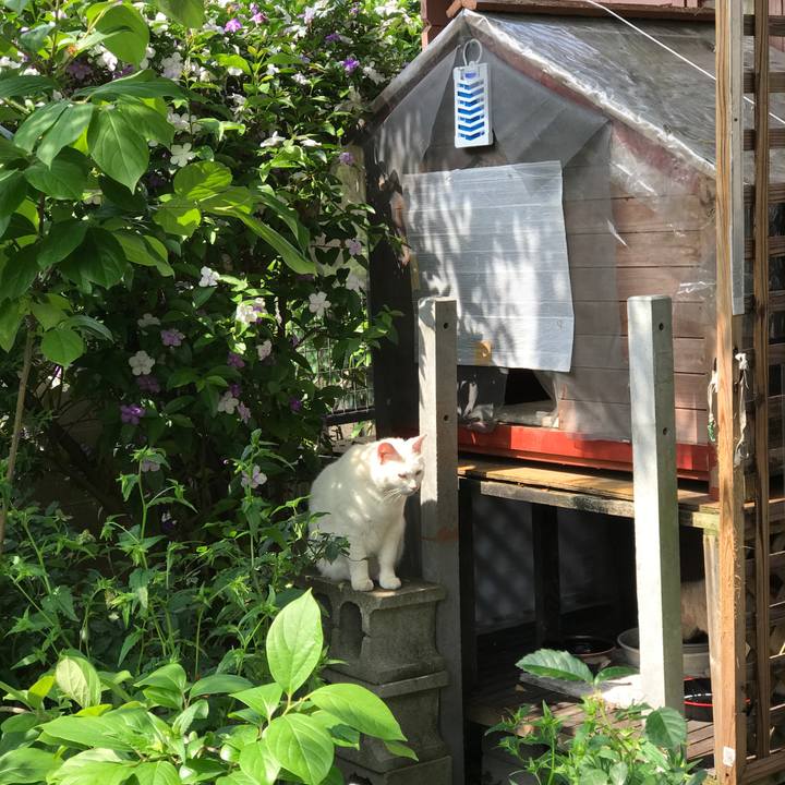 B7a976ce e13a 4ef8 ad39 a1eb9c685158