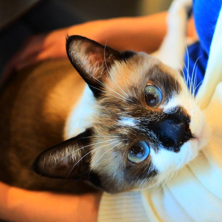 B7aaca56 5e3b 4739 8d79 3f8f070d6361