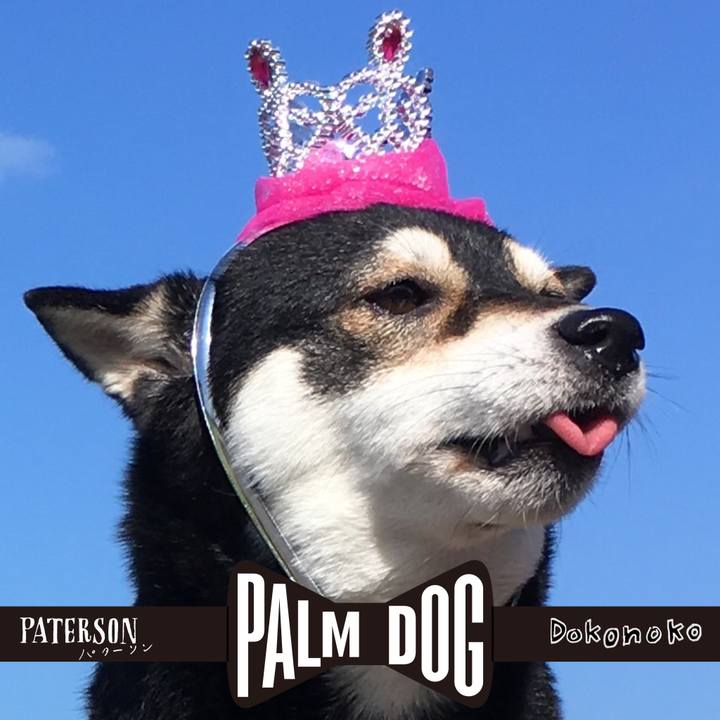 B7ab9331 3cce 417a afc7 4614bb3a8d68