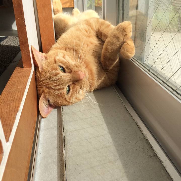 B7abfc06 1cb3 4970 b867 f8305a38628e