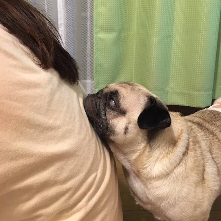 B7ac7825 a6f4 4271 b751 fd500db0e38c