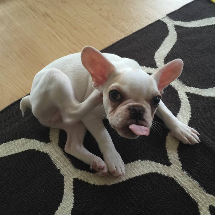 B7ac790f 81d8 490d a8a7 96e9648a4aea