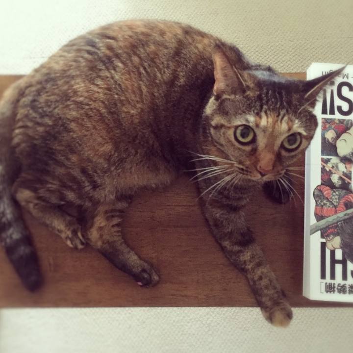 B7acd2b5 452d 4bd2 b090 686d43b62f94