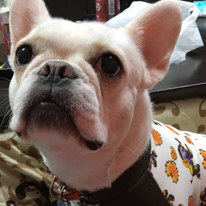 B7ad1d74 7cb5 4736 84eb e850e7aa95d2