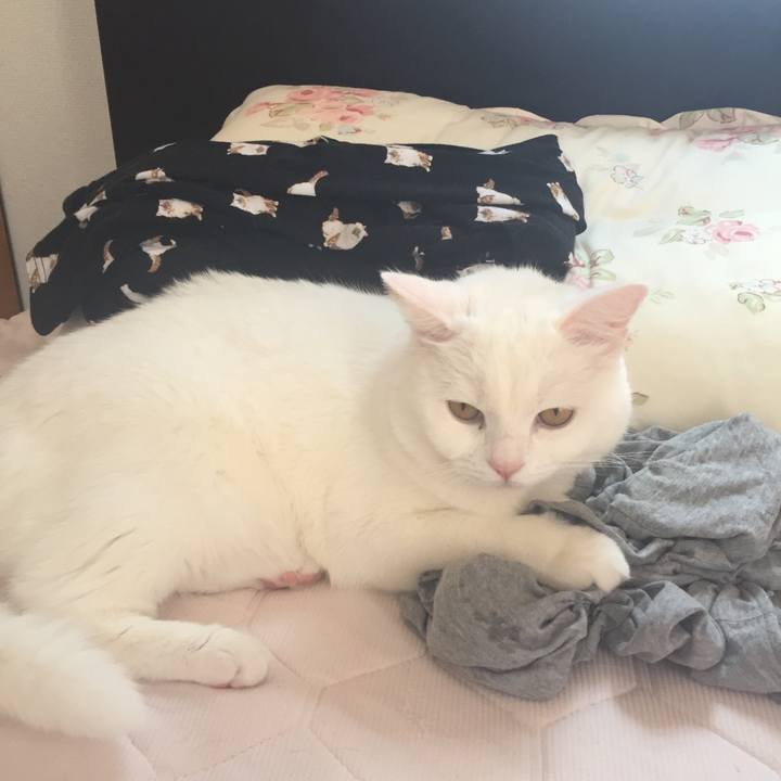 B7adb771 541a 4add b34e d10ad3a43f67