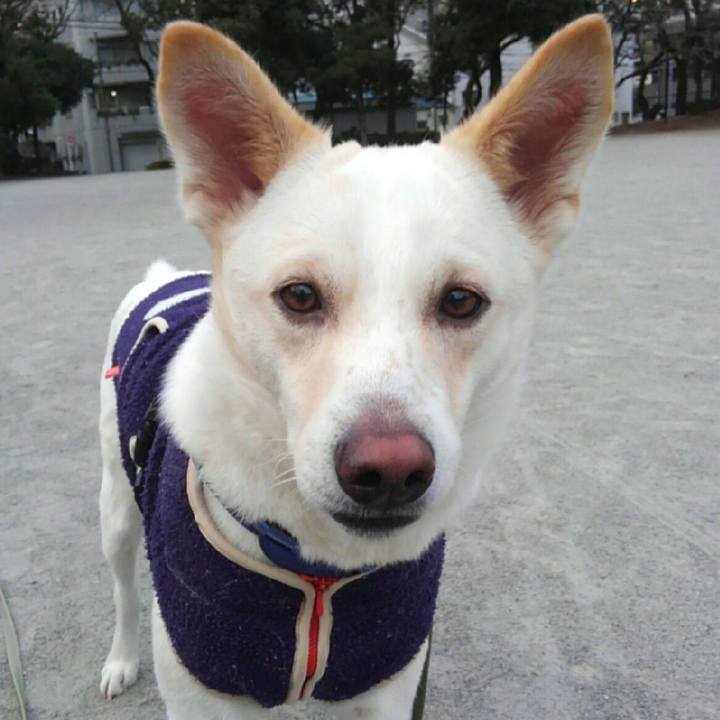 B7addd54 e435 47e5 8e0f b27b381265d3