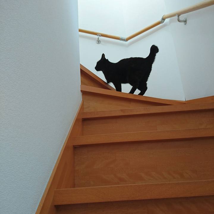 B7af366a 148d 4135 99e4 8429cab4fc44