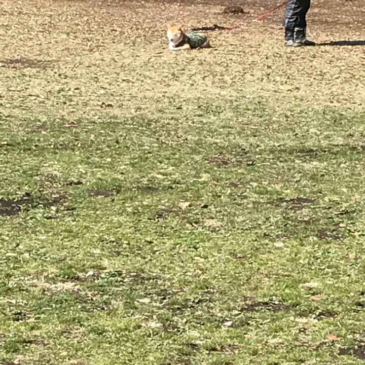 B7afa2ab 8602 4413 a0eb 3878224abdc6