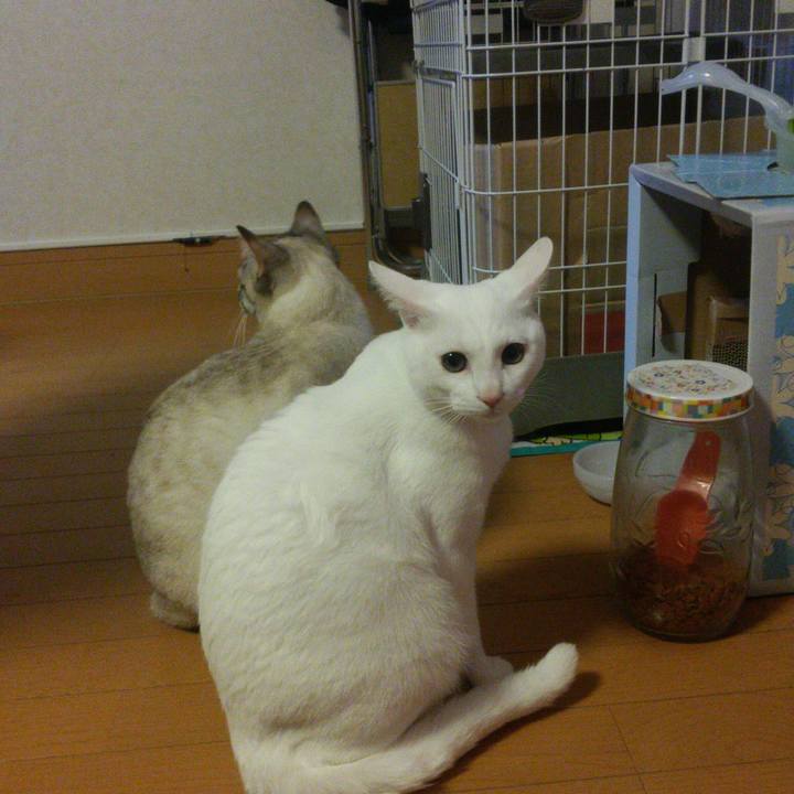 B7afa660 1a82 45ab b8b7 0e4ed92776ca