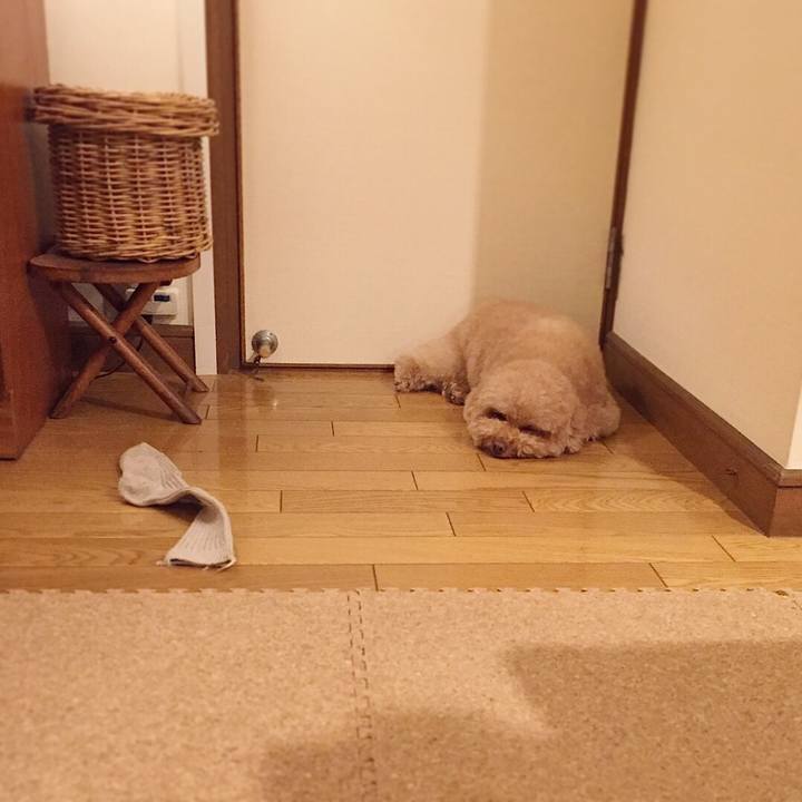 B7afa89f 3b31 4729 8b0b 33cb25f8ccd6