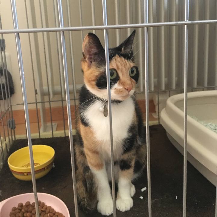 B7afc18e a6cb 4180 bda6 250d1f860374