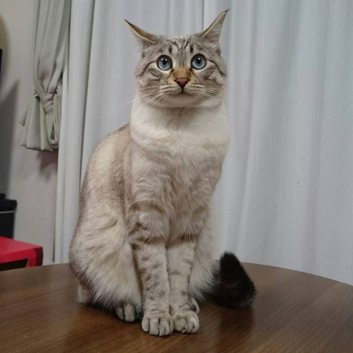 B7b018cb fb6a 471b 9817 e98af97a3ef7