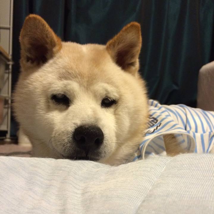 B7b0c1a6 f359 4315 97cd b4178258de0f