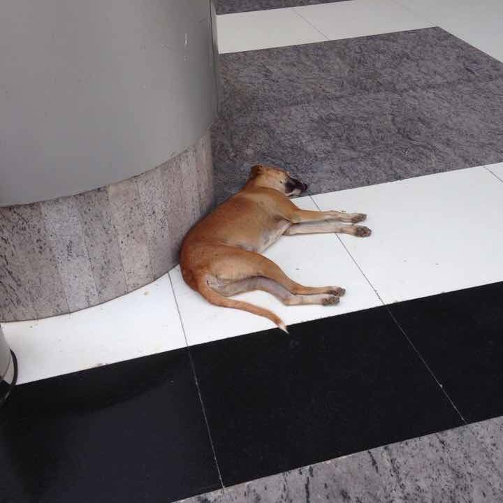 B7b116f1 40c7 4b2c 8ed4 be23a4c575cb