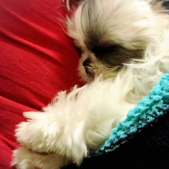 B7b14616 1526 4dda a0bb bf11141d1c1b