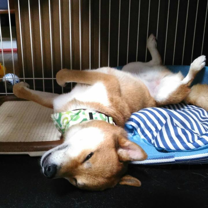 B7b1e613 b009 4035 9de4 b9a1f1bcd456