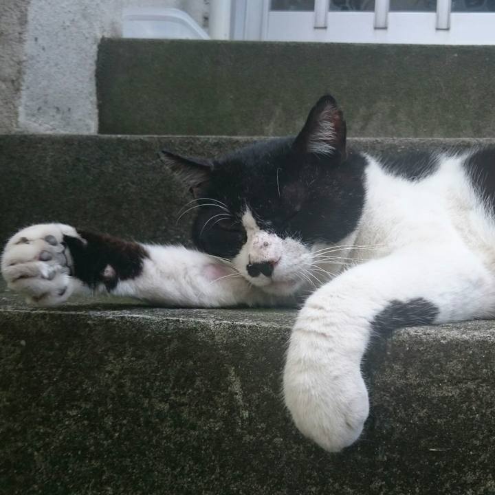 B7b277fc 94b9 49e6 8a79 cc9d0b4c56ff