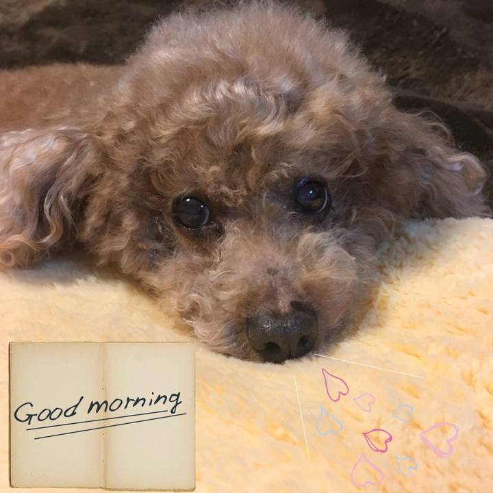 B7b30589 b93c 46d5 ad12 462ecb271f36