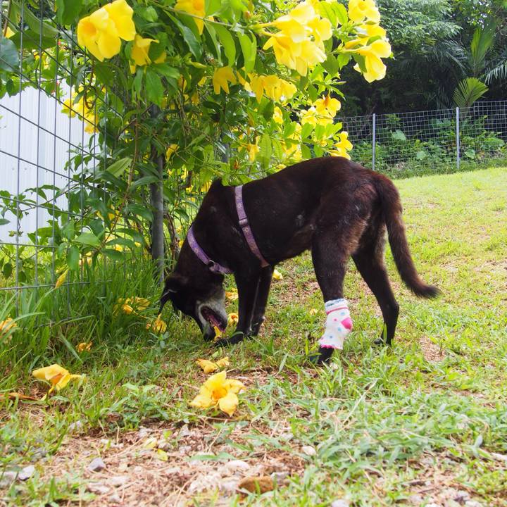 B7b36159 ab7f 44eb bdd5 296aa6f92e74