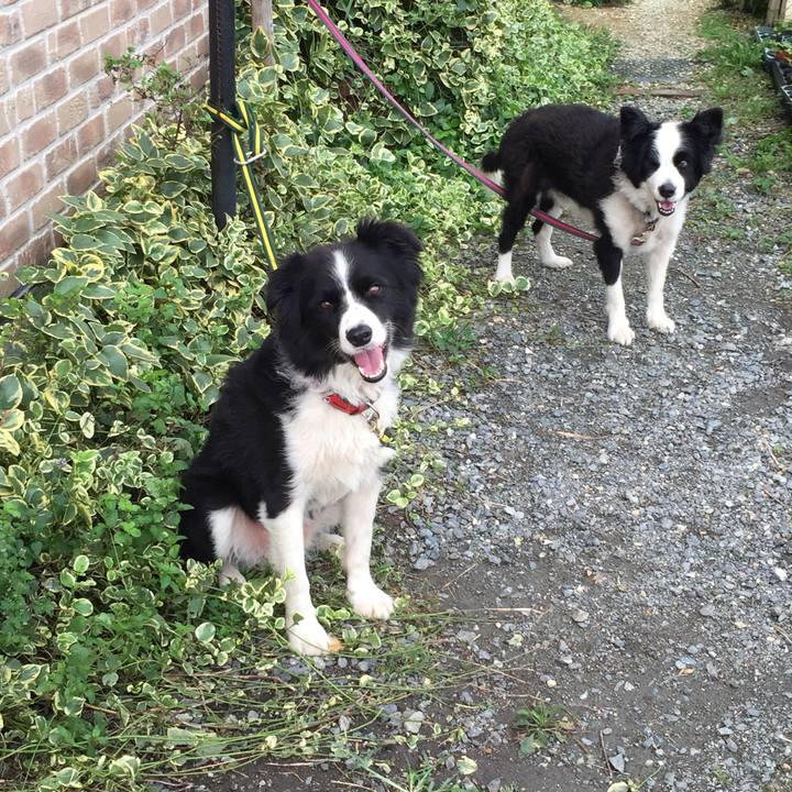 B7b39cd1 5bc5 4b9a 83e1 09796bc3a903