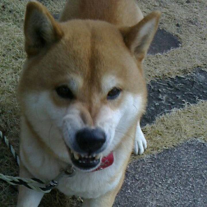 B7b3df92 329a 4dae b2ab 3d6d9d1862db