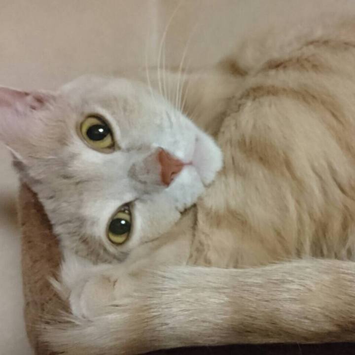 B7b408dc 4ce1 436c aa09 99cf6c711cc3