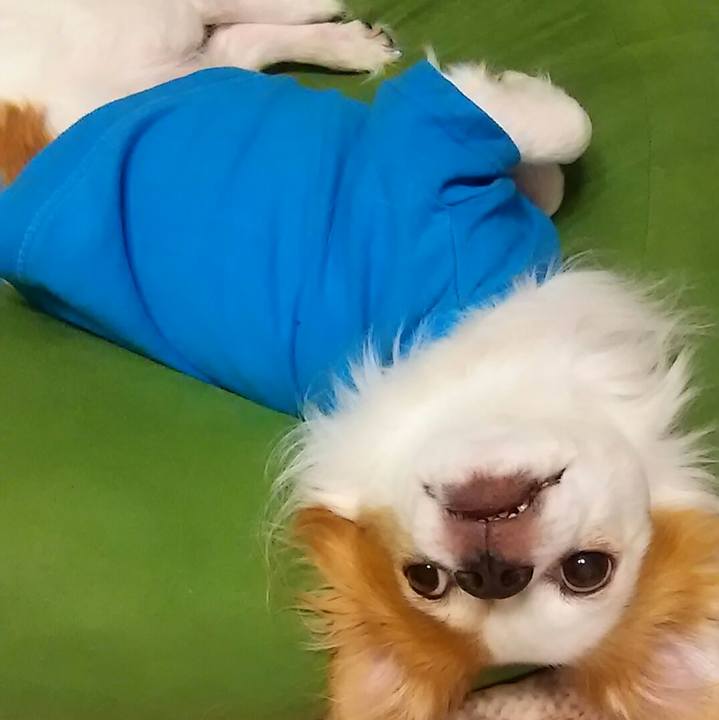 B7b41881 4a58 4acd 9603 b0e1bd0682a7