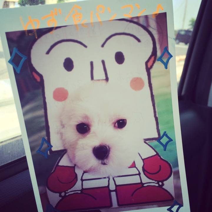 B7b4c62a 8694 478e 9fb9 f80e8c32d8f8