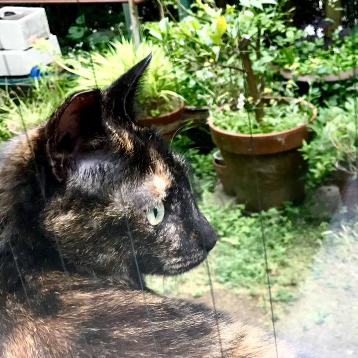 B7b5507f 725d 49eb 8eaa 6eb211fa6f96