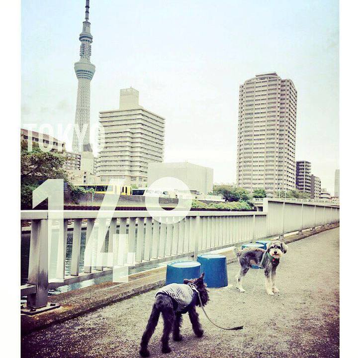 B7b5a3cc 08d8 4835 a626 331a012e3688