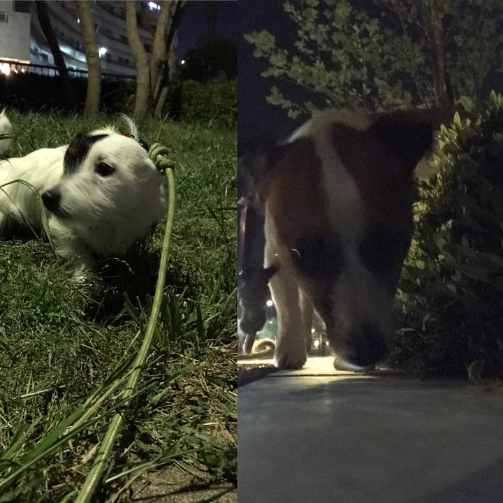 B7b5a9a8 fbb7 4d80 b184 cda3dade2fc2