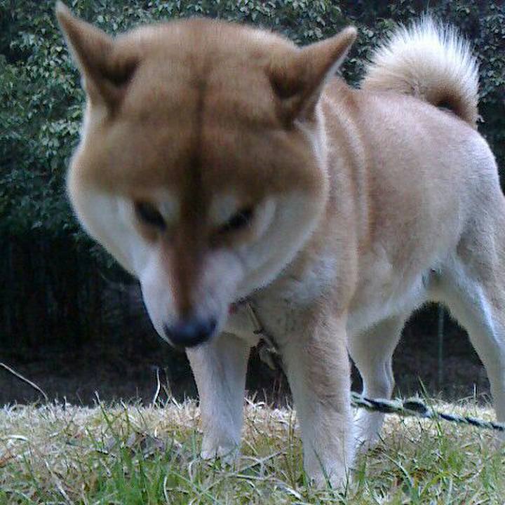 B7b5b03a 3e14 492f 9fb3 6ba294b6093f