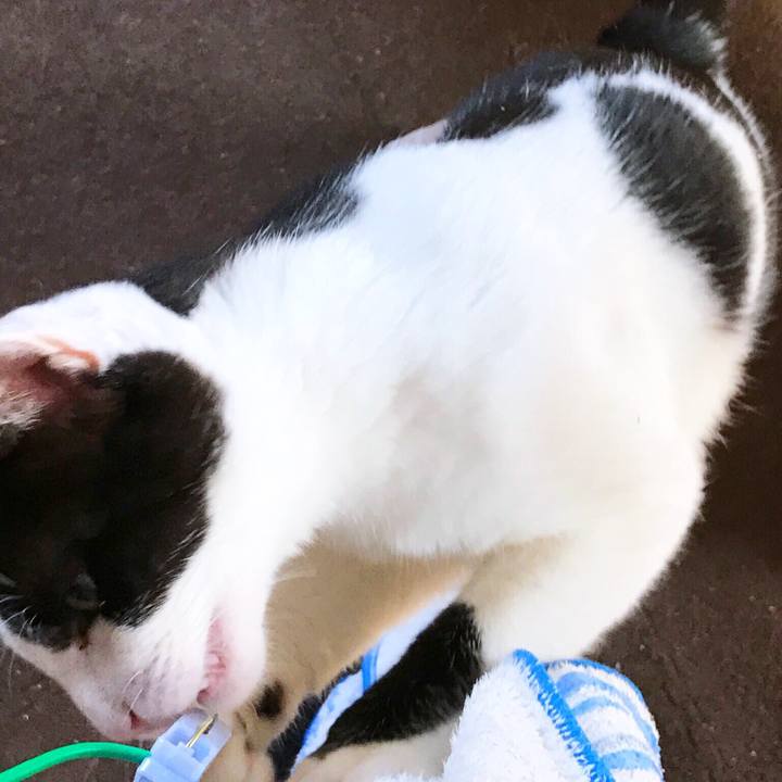 B7b5b205 c2d7 432e 9550 7bce51577367