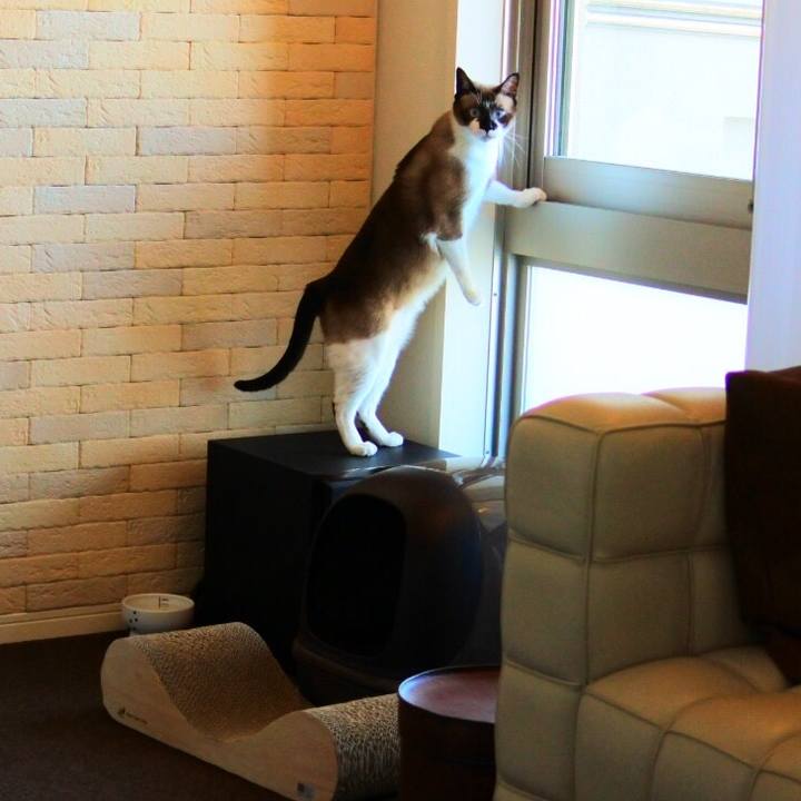 B7b5ba12 d690 4bbf 86bd c2df902f069b