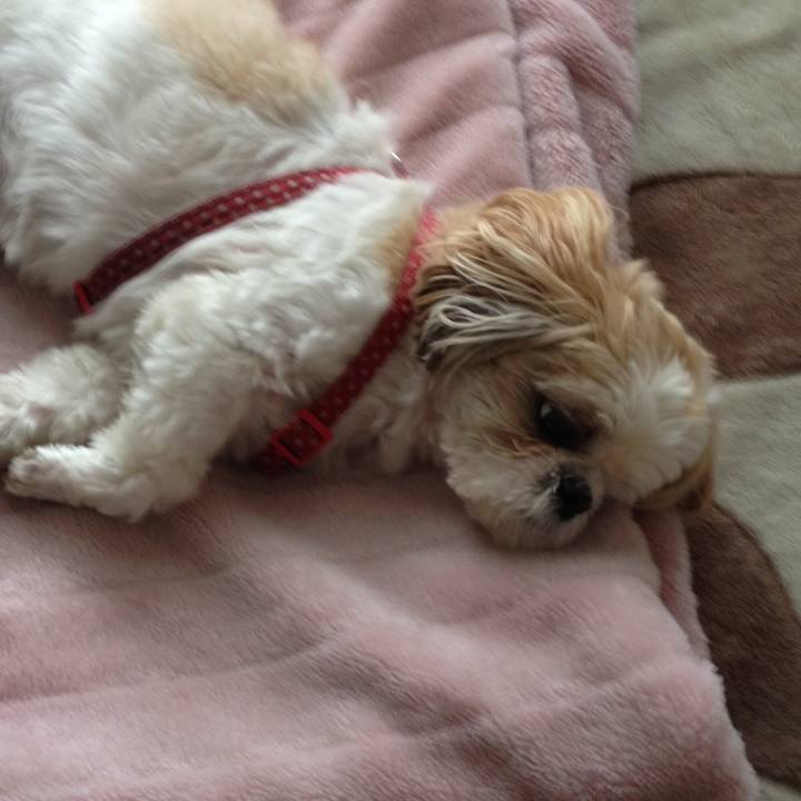 B7b6be80 631e 4e51 94b2 af8e0dc1fef7