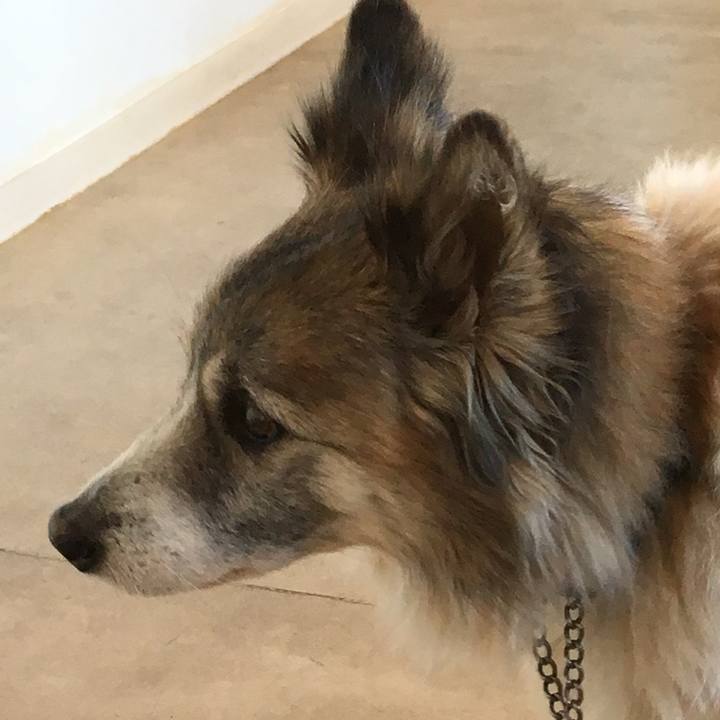 B7b6d577 b658 493c b305 f3b93dd13ba0