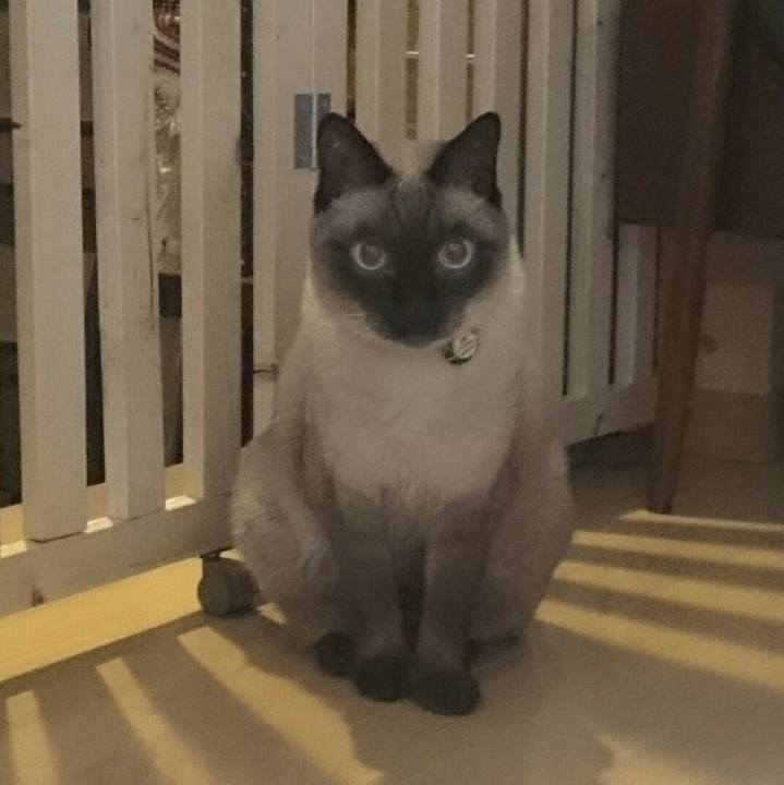 B7b72ffa 95a9 4af5 bc76 0d76d7ee1d99