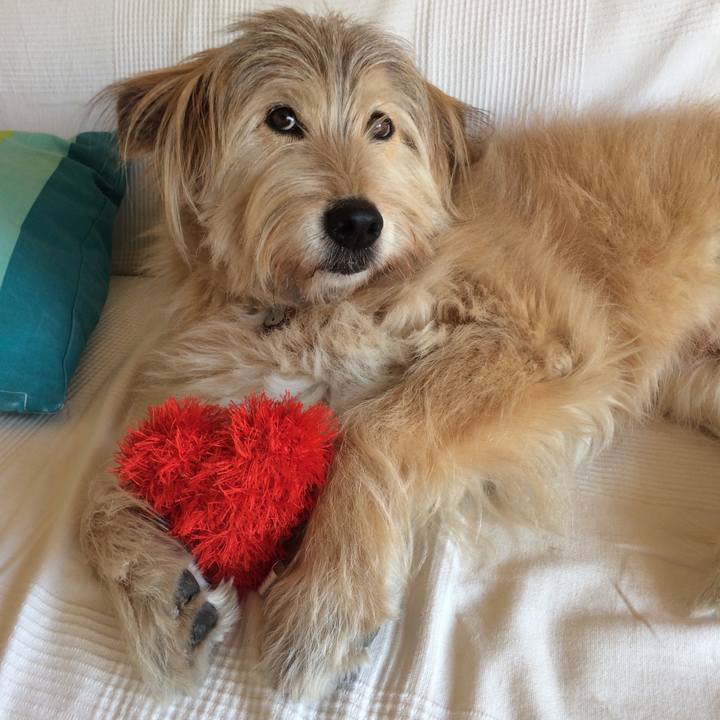 B7b7943b ed8a 4c3b bb41 e02a397eab06