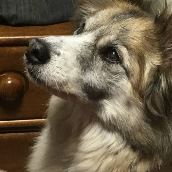 B7b7b0a2 a31e 4341 b45e 0294563c2689